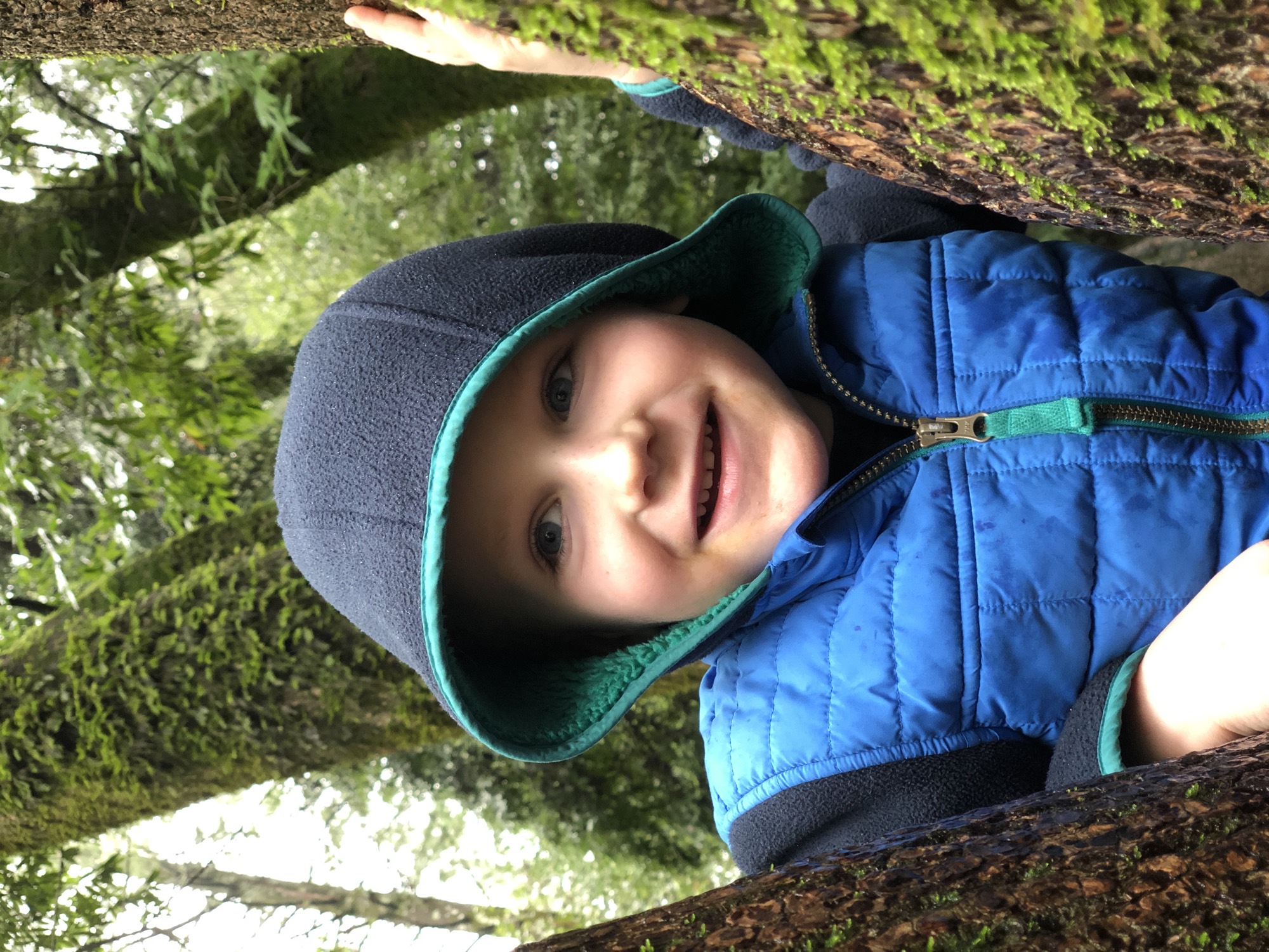 A young child wearing a blue hooded jacket smiles while peering out from between two moss-covered tree trunks in a forest.