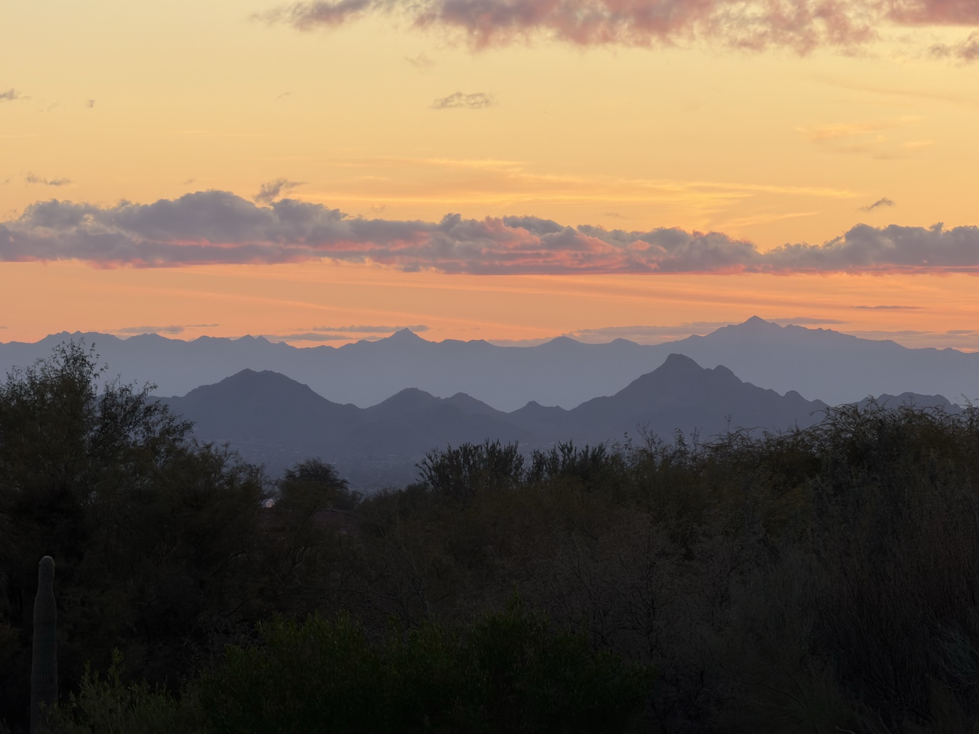 A scenic view of layered mountain ranges silhouetted against a vibrant orange and pink sunset sky. In the foreground, dark desert vegetation and shrubs are visible under the fading light.