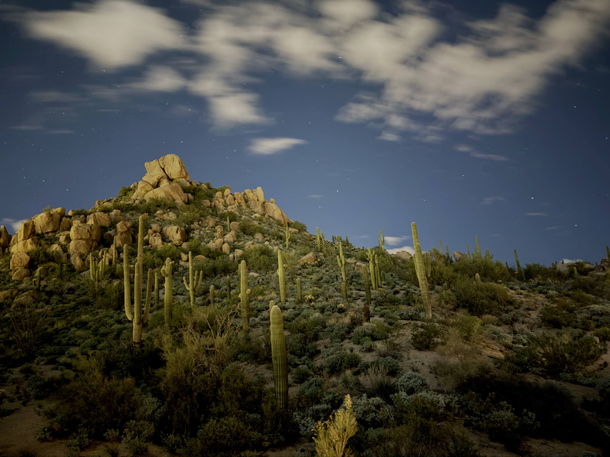 A long-exposure night photograph captures a desert hillside covered in saguaro cacti and low vegetation leading up to a rocky peak. Above, wispy white clouds drift across a dark blue night sky filled with visible stars.