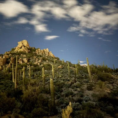 A long-exposure night photograph captures a desert hillside covered in saguaro cacti and low vegetation leading up to a rocky peak. Above, wispy white clouds drift across a dark blue night sky filled with visible stars.