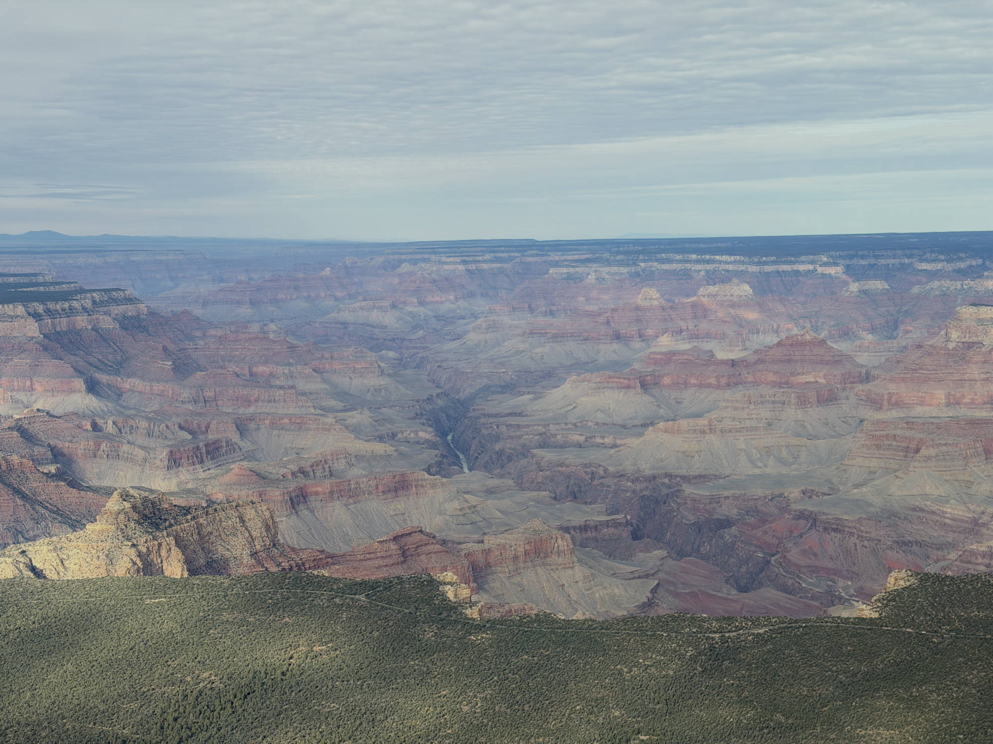 This wide-angle landscape photograph captures the vast expanse of the Grand Canyon under a partly cloudy sky. The layered rock formations in shades of red, orange, and grey stretch across the horizon, with a green, forested rim visible in the foreground.