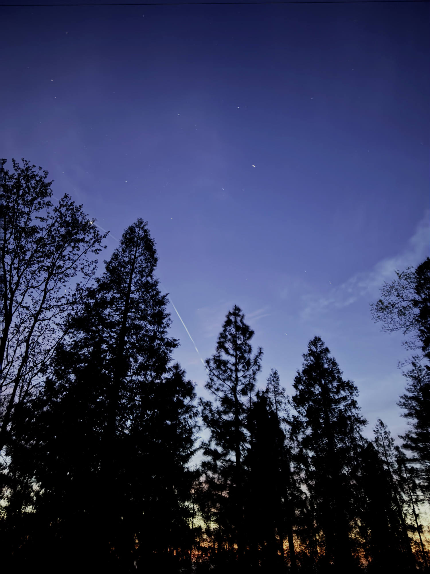 A low-angle shot captures the dark silhouettes of tall pine and deciduous trees against a deep blue twilight sky. Stars are visible in the night sky, along with a faint white condensation trail from an airplane and a warm orange glow from the setting sun along the horizon.