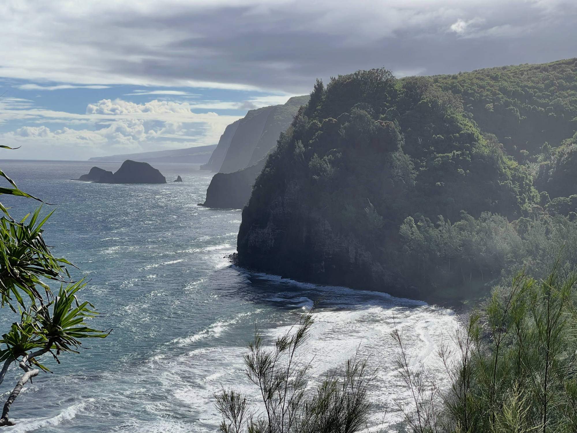 This scenic landscape photo captures a coastline featuring steep, lush green cliffs meeting a sparkling blue ocean with white waves. The view is framed by tropical vegetation in the foreground under a partly cloudy sky.