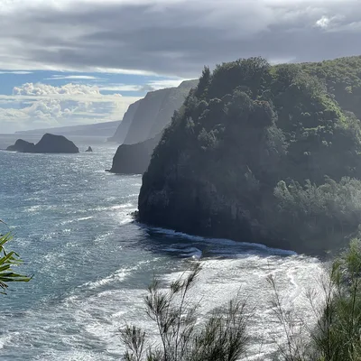 This scenic landscape photo captures a coastline featuring steep, lush green cliffs meeting a sparkling blue ocean with white waves. The view is framed by tropical vegetation in the foreground under a partly cloudy sky.