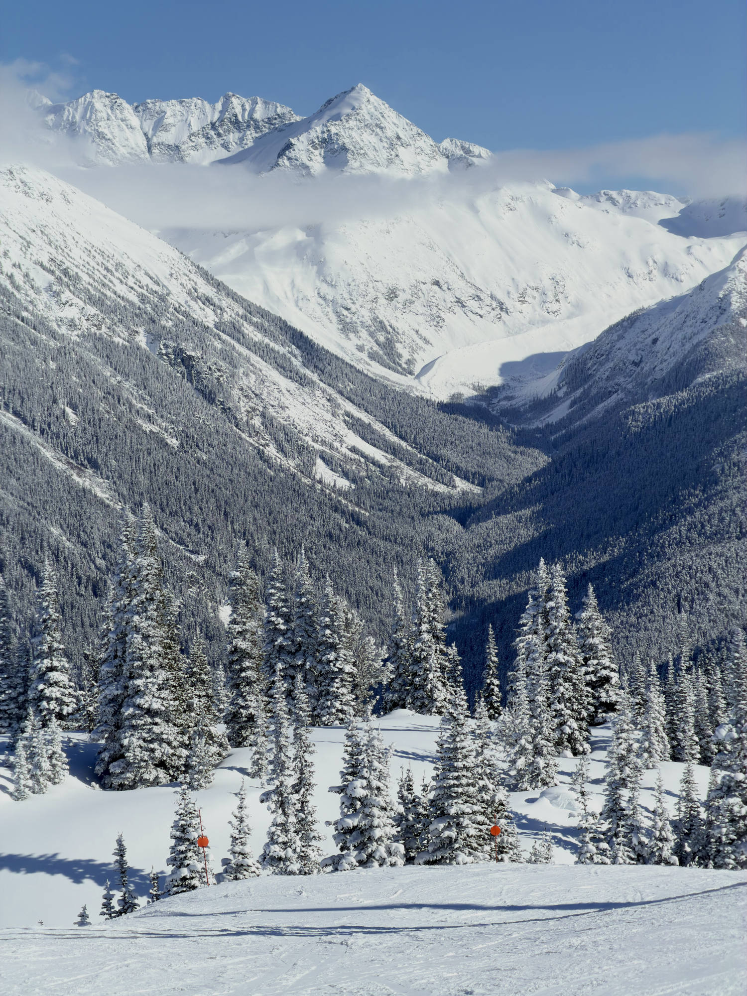 A scenic view of a snow-covered mountain valley under a clear blue sky, with pine trees in the foreground and a majestic peak rising above the clouds in the background.