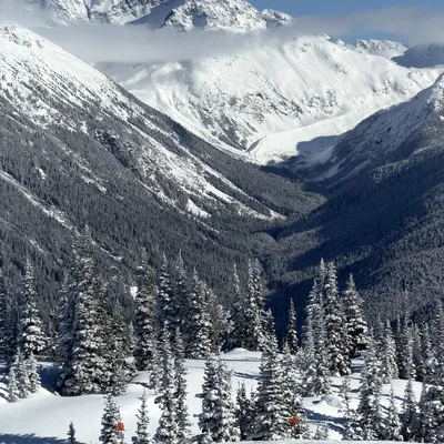 A scenic view of a snow-covered mountain valley under a clear blue sky, with pine trees in the foreground and a majestic peak rising above the clouds in the background.