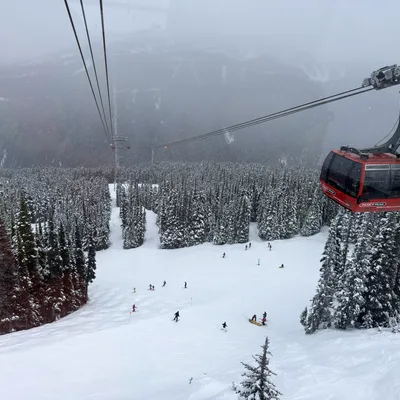 A red Peak 2 Peak gondola cabin travels along cables high above a snow-covered ski resort in Whistler Blackcomb, British Columbia. Below, skiers and snowboarders navigate the snowy slopes surrounded by dense, snow-dusted evergreen forests under a foggy, overcast sky.