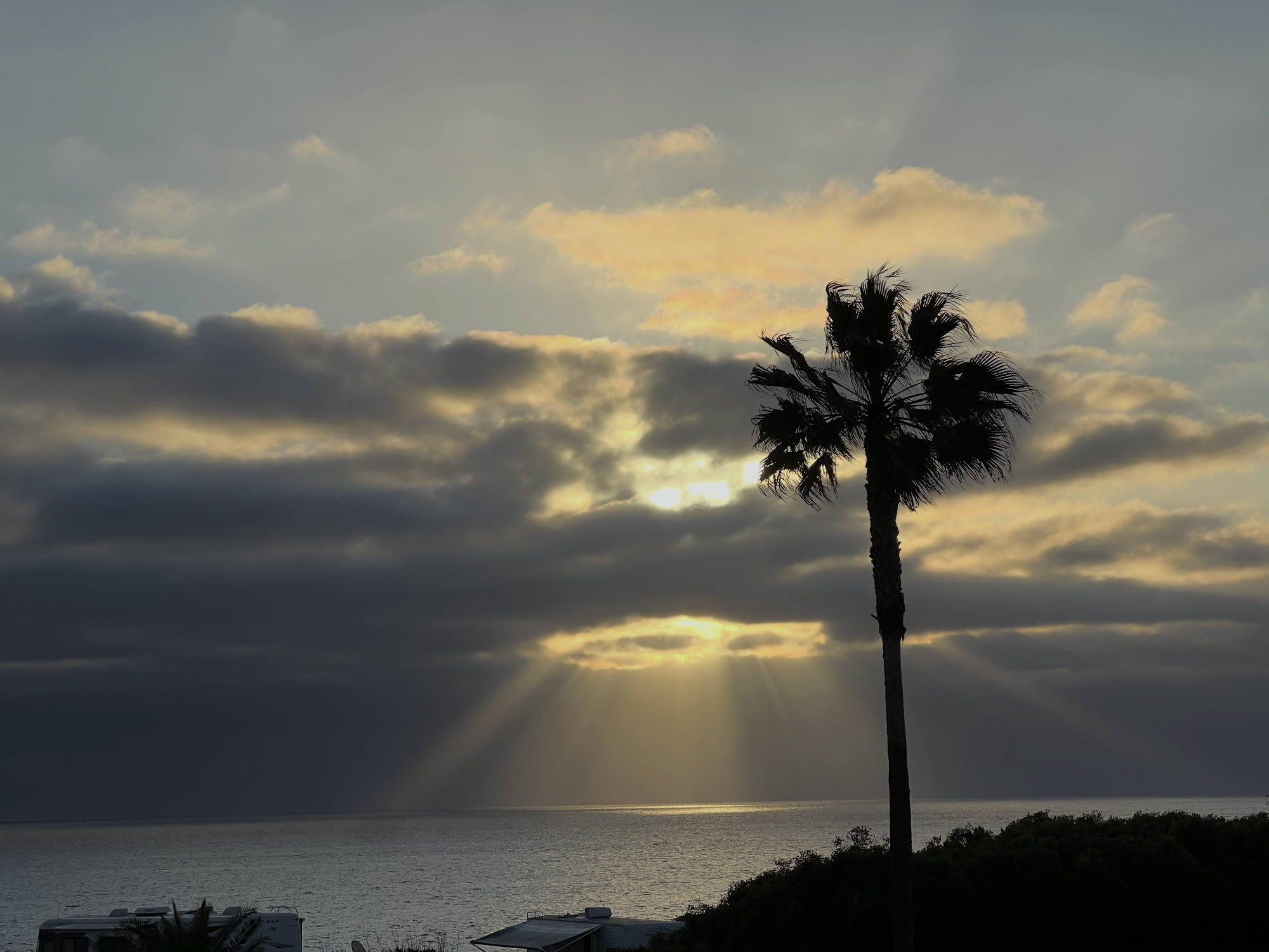 A silhouette of a single palm tree stands against a coastal sunset, with sunbeams breaking through dark clouds over the ocean. The tops of recreational vehicles are visible along the shoreline in the lower foreground.