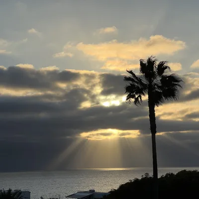 A silhouette of a single palm tree stands against a coastal sunset, with sunbeams breaking through dark clouds over the ocean. The tops of recreational vehicles are visible along the shoreline in the lower foreground.