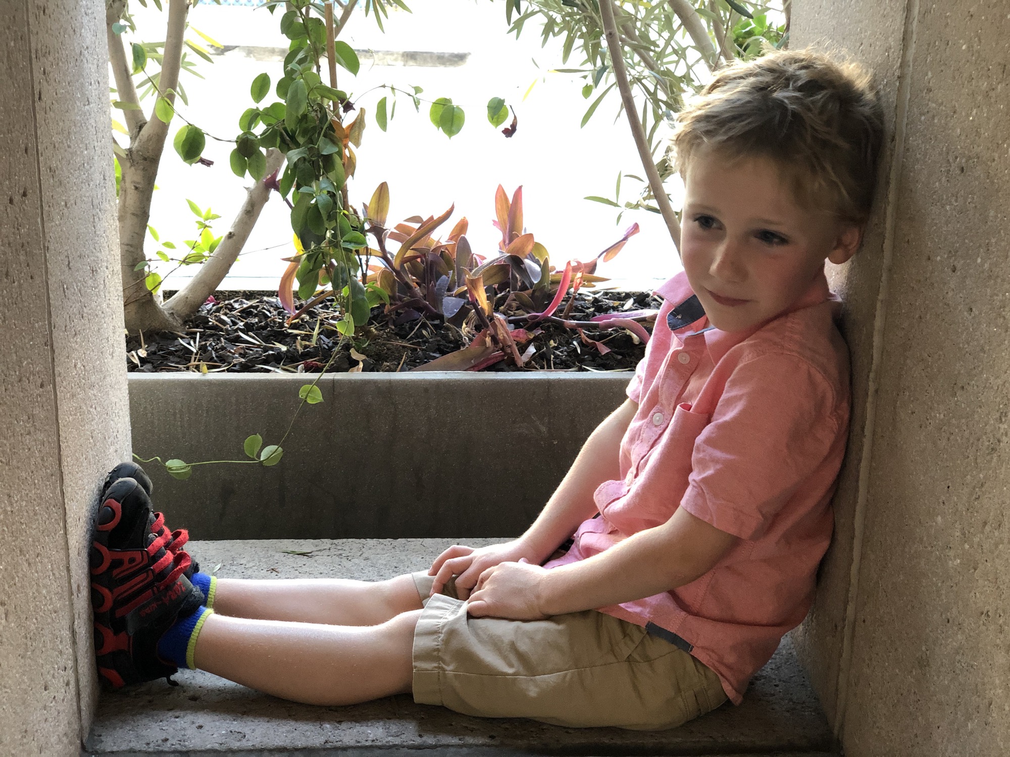 A young boy in a pink shirt and khaki shorts sits in a concrete alcove with his legs stretched out and his back against the wall. Behind him, a planter box contains green and reddish-purple plants.