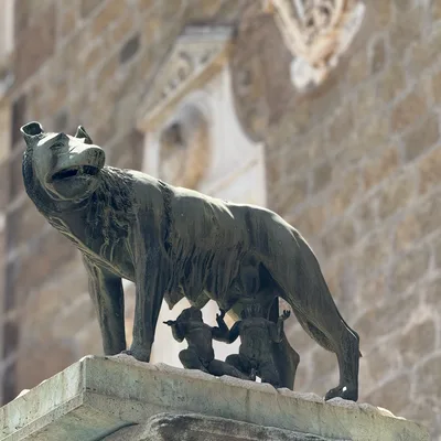 A close-up shot features a bronze statue of the Capitoline Wolf nursing the twins Romulus and Remus, positioned outdoors on a stone pedestal. The sculpture is set against the blurred background of a historic stone building facade.