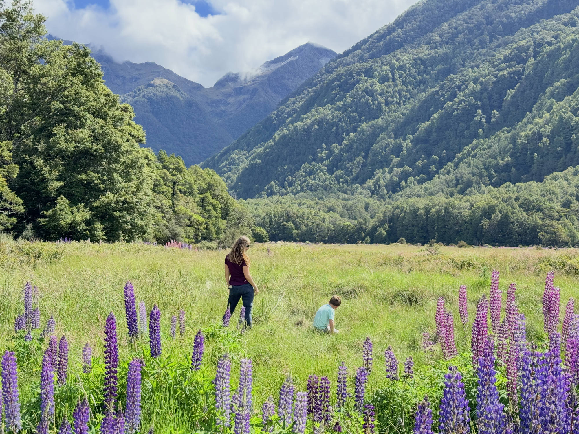A woman and a young child are in a grassy field filled with purple lupine flowers, with the child crouching down to look at the ground. They are surrounded by a lush green valley with forested mountains rising in the background under a partly cloudy sky.