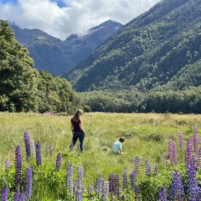 A woman and a young child are in a grassy field filled with purple lupine flowers, with the child crouching down to look at the ground. They are surrounded by a lush green valley with forested mountains rising in the background under a partly cloudy sky.