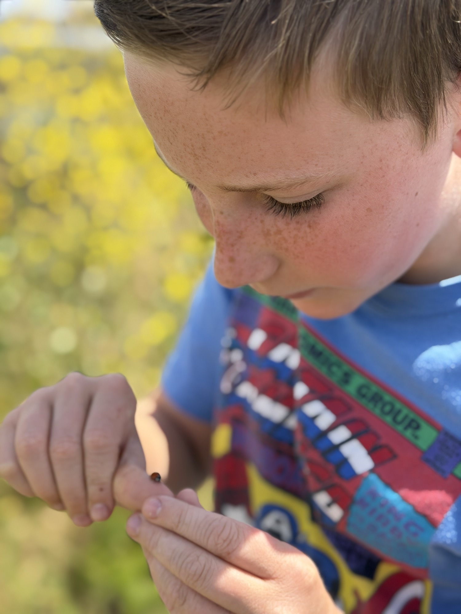 A close-up shot shows a young boy with freckles looking down intently at a small ladybug on his finger. The background is a soft, out-of-focus field of yellow flowers.