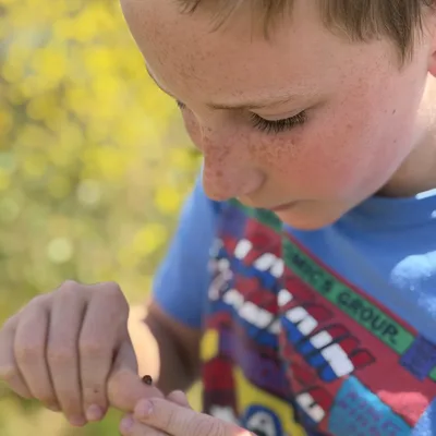 A close-up shot shows a young boy with freckles looking down intently at a small ladybug on his finger. The background is a soft, out-of-focus field of yellow flowers.