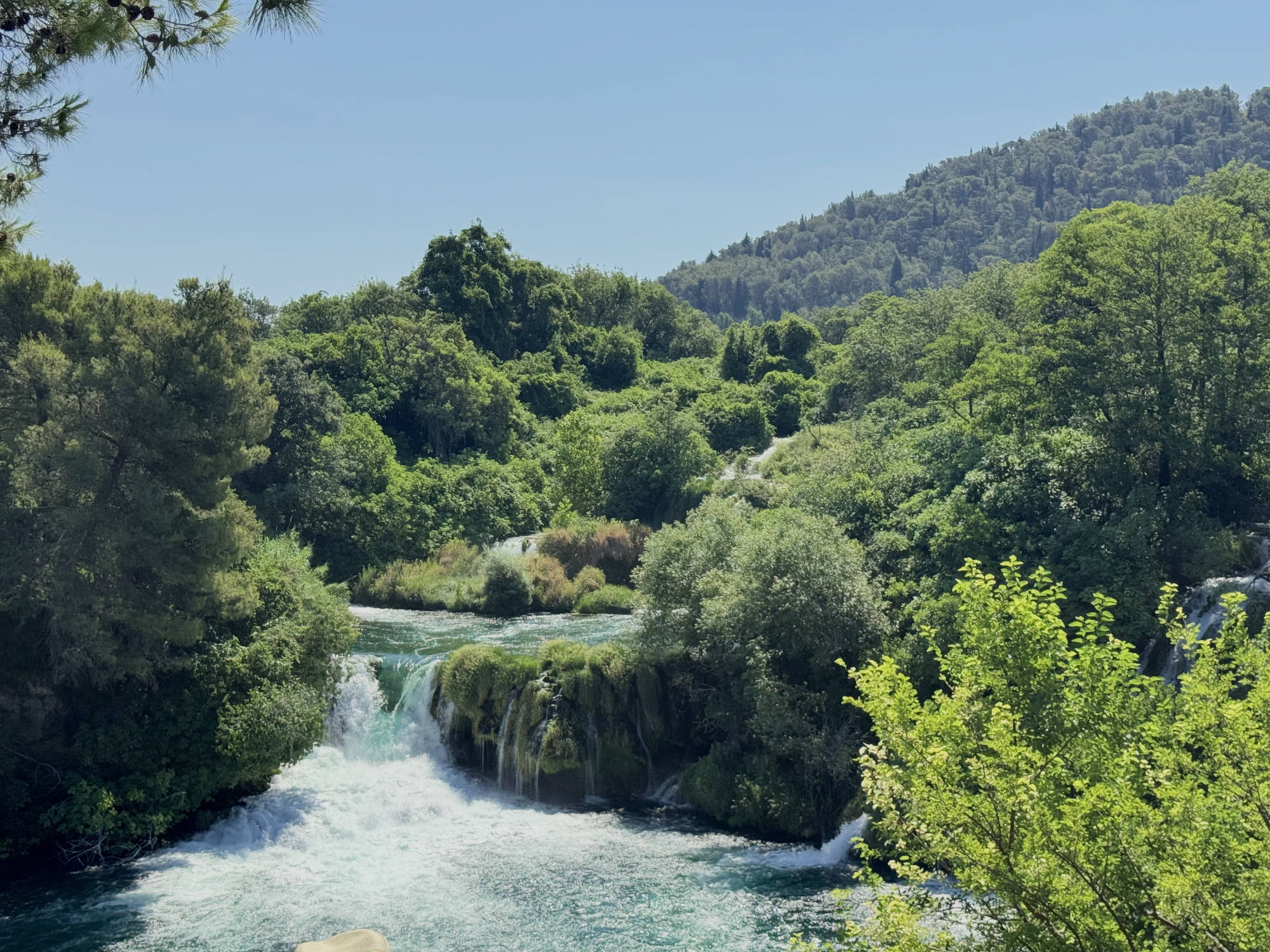 A scenic view of a rushing river with small waterfalls flowing through a lush, green forest under a clear blue sky. The landscape features dense trees, vegetation, and a forested hill in the background.