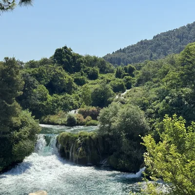 A scenic view of a rushing river with small waterfalls flowing through a lush, green forest under a clear blue sky. The landscape features dense trees, vegetation, and a forested hill in the background.