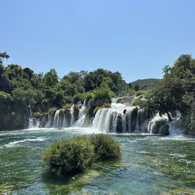 A wide waterfall cascades over rocky, tree-lined cliffs into a clear, turquoise pool of water under a bright blue sky. Green shrubs emerge from the water in the foreground, surrounded by lush forest vegetation on either side of the falls.