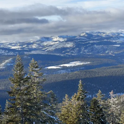 This panoramic photograph captures a vast mountain range covered in snow and dense evergreen forests under a cloudy blue sky. Pine trees dusted with snow frame the foreground, overlooking a deep valley and distant snow-capped peaks.