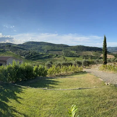 This panoramic photograph captures a sunny countryside landscape featuring rolling green hills, vineyards, and a gravel path leading through a grassy yard. A building with a tiled roof sits on the left, set against a bright blue sky with scattered clouds and a shining sun.