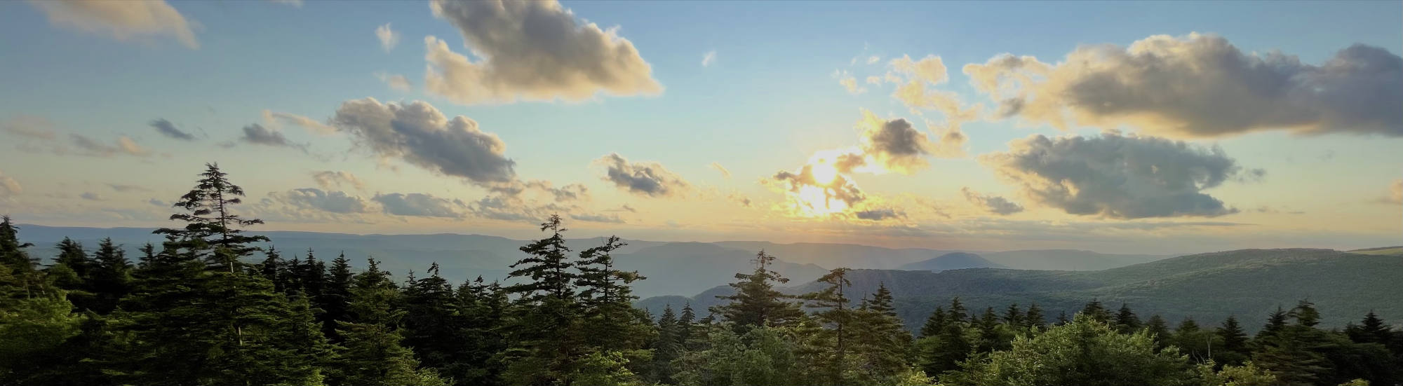 This panoramic photograph captures a sunset over a vast mountain range, with the sun breaking through scattered clouds in a blue and golden sky. In the foreground, a dense forest of evergreen trees overlooks the rolling, hazy hills in the distance.