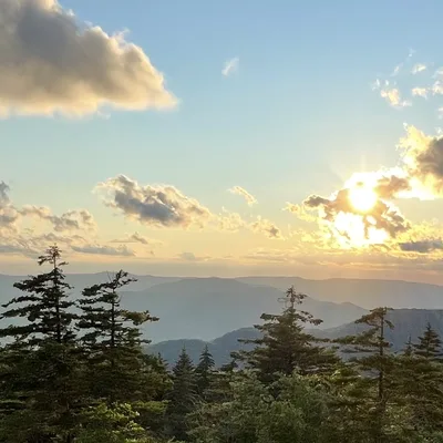 This panoramic photograph captures a sunset over a vast mountain range, with the sun breaking through scattered clouds in a blue and golden sky. In the foreground, a dense forest of evergreen trees overlooks the rolling, hazy hills in the distance.