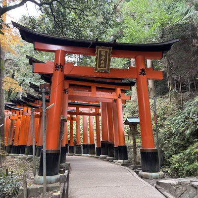 A paved pathway winds through a dense forest, lined by a long, continuous row of vibrant orange torii gates with black bases. The traditional Japanese gates feature black inscriptions on their pillars and a central plaque on the foremost gate, creating a scenic tunnel-like passage.