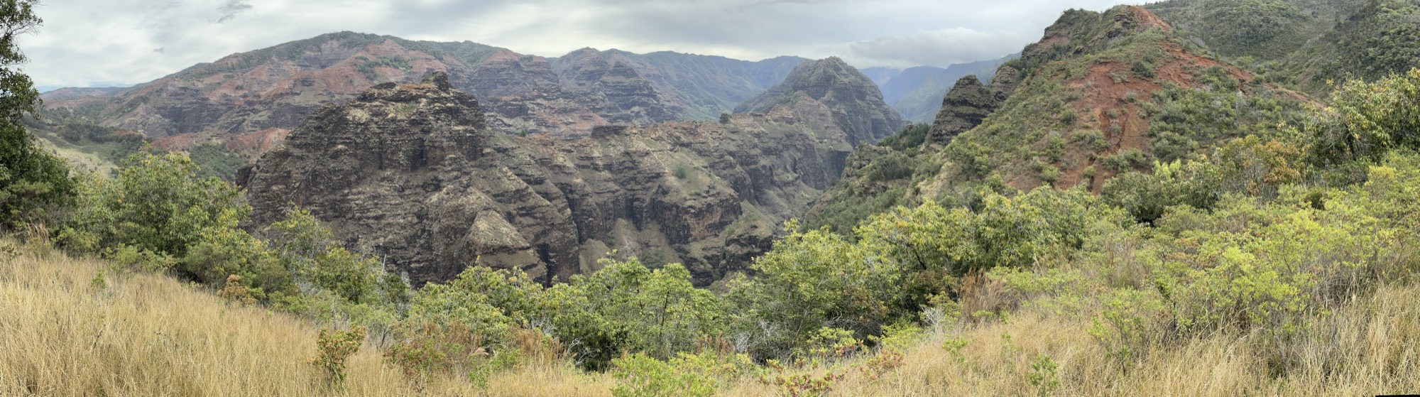 This panoramic photograph captures a vast canyon landscape featuring rugged, reddish-brown rock formations and steep cliffs under an overcast sky. The foreground is filled with dry grass and green shrubs, overlooking the deep valley and distant mountain ridges.