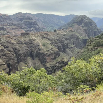 This panoramic photograph captures a vast canyon landscape featuring rugged, reddish-brown rock formations and steep cliffs under an overcast sky. The foreground is filled with dry grass and green shrubs, overlooking the deep valley and distant mountain ridges.