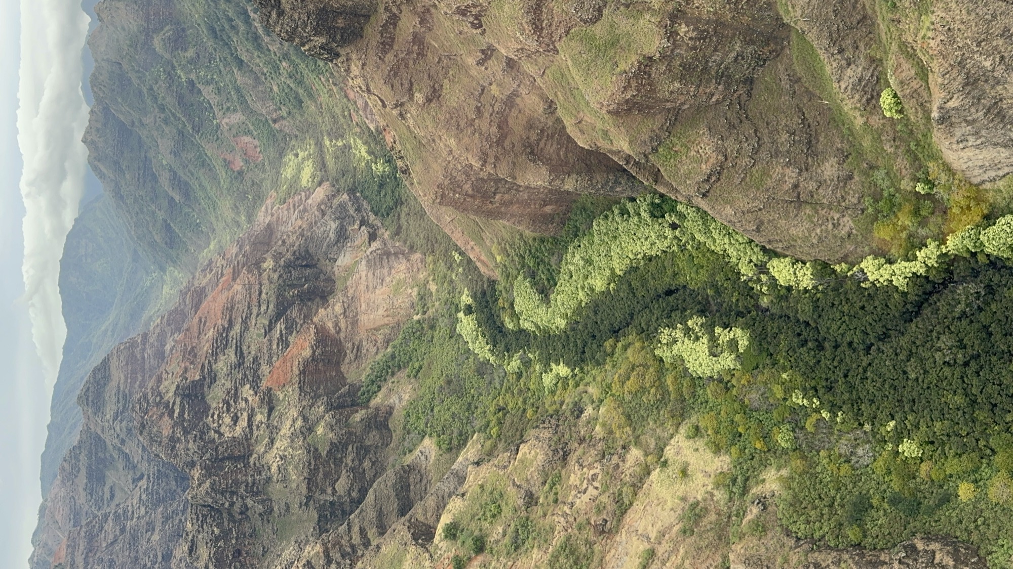 An aerial view captures a deep, lush green valley winding between steep, rocky canyon walls under a cloudy sky. The rugged mountain landscape features patches of reddish-brown earth and dense vegetation growing along the valley floor.