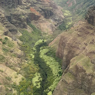 An aerial view captures a deep, lush green valley winding between steep, rocky canyon walls under a cloudy sky. The rugged mountain landscape features patches of reddish-brown earth and dense vegetation growing along the valley floor.