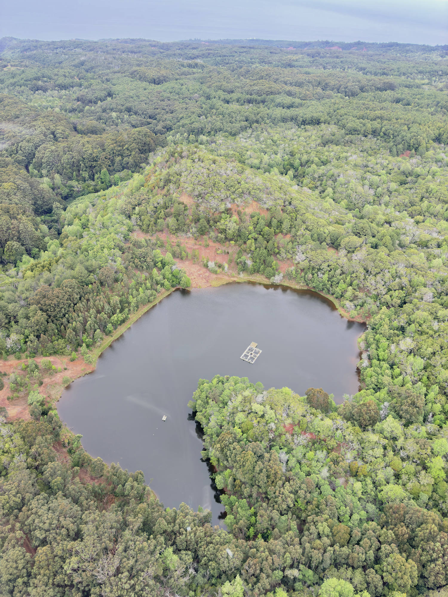 This high-angle aerial photograph captures a dark, heart-shaped lake with a small floating platform, nestled within a dense, green forest landscape. The surrounding terrain features rolling hills covered in trees and patches of reddish-brown soil.