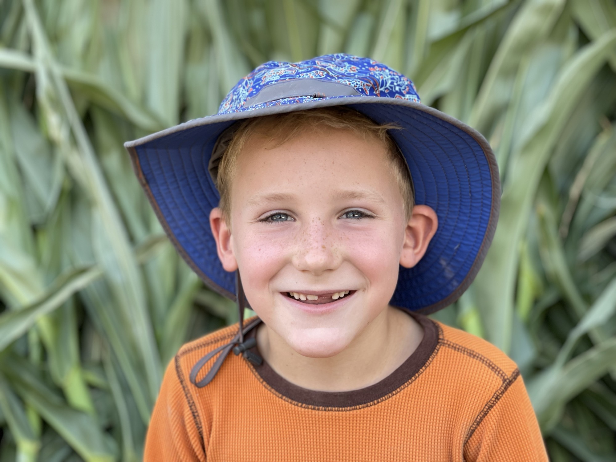A young boy with freckles and a missing front tooth smiles at the camera while wearing a blue sun hat and an orange shirt. He is positioned outdoors in front of a dense background of green corn stalks.