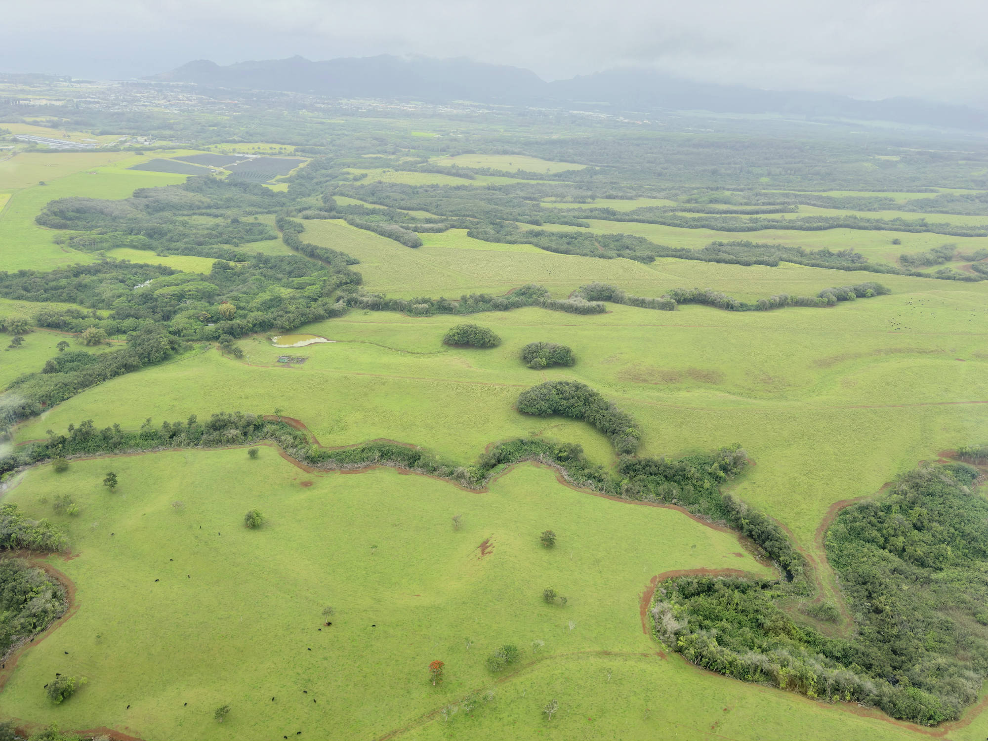 An aerial view captures a vast landscape of rolling green fields, pastures, and patches of forest under a cloudy sky. In the distance, mountains rise behind a coastal town, while a winding dirt path and a small pond are visible in the foreground.