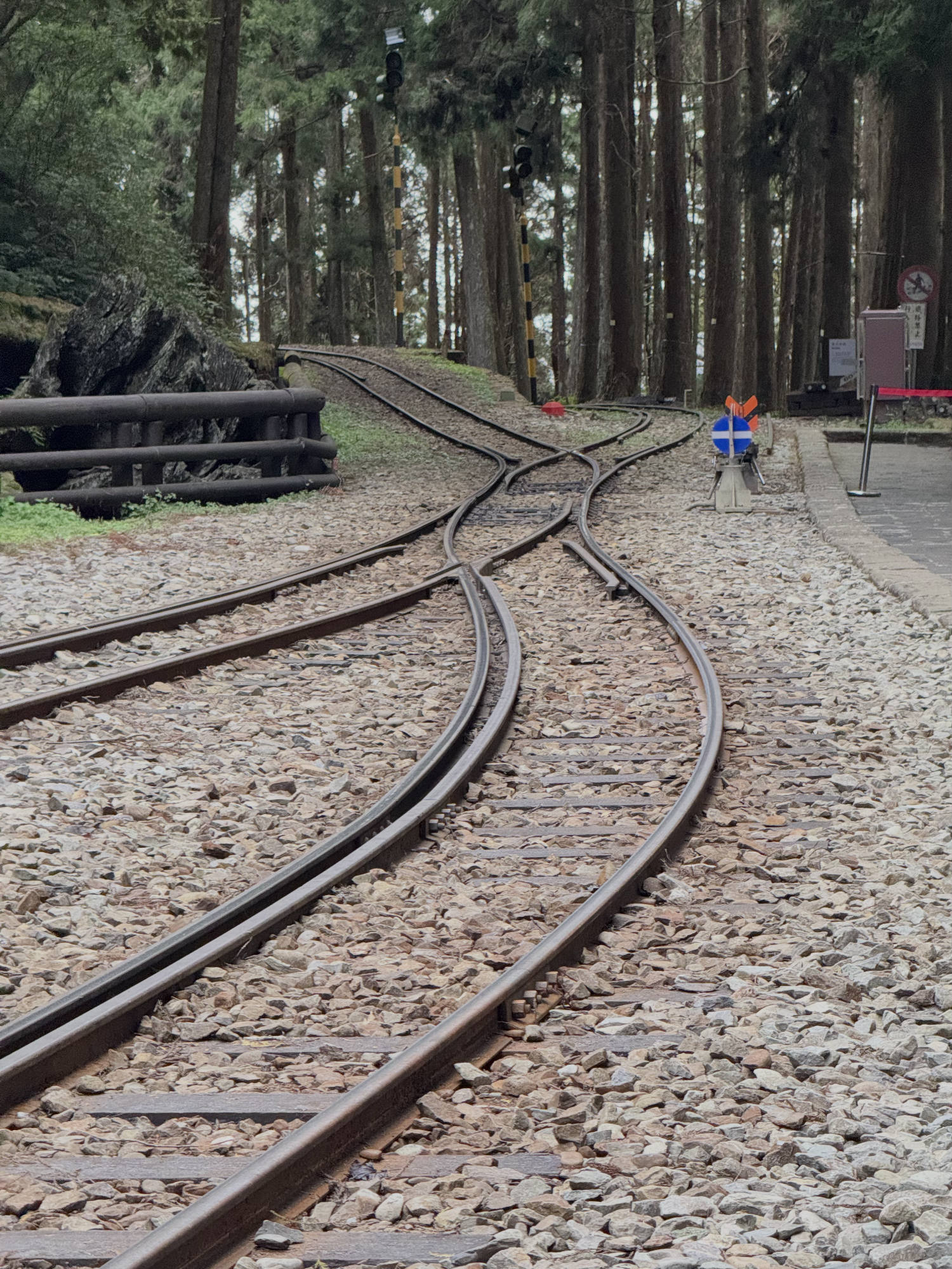 A set of curved railway tracks on a gravel bed splits and winds through a dense forest of tall trees. The scene includes railway signals, a wooden barrier, and a small platform area on the right.