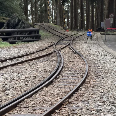 A set of curved railway tracks on a gravel bed splits and winds through a dense forest of tall trees. The scene includes railway signals, a wooden barrier, and a small platform area on the right.