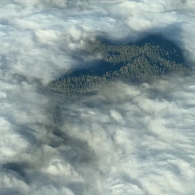 An aerial view captures a dense, green forest on a mountain peak emerging through a thick, white blanket of clouds.