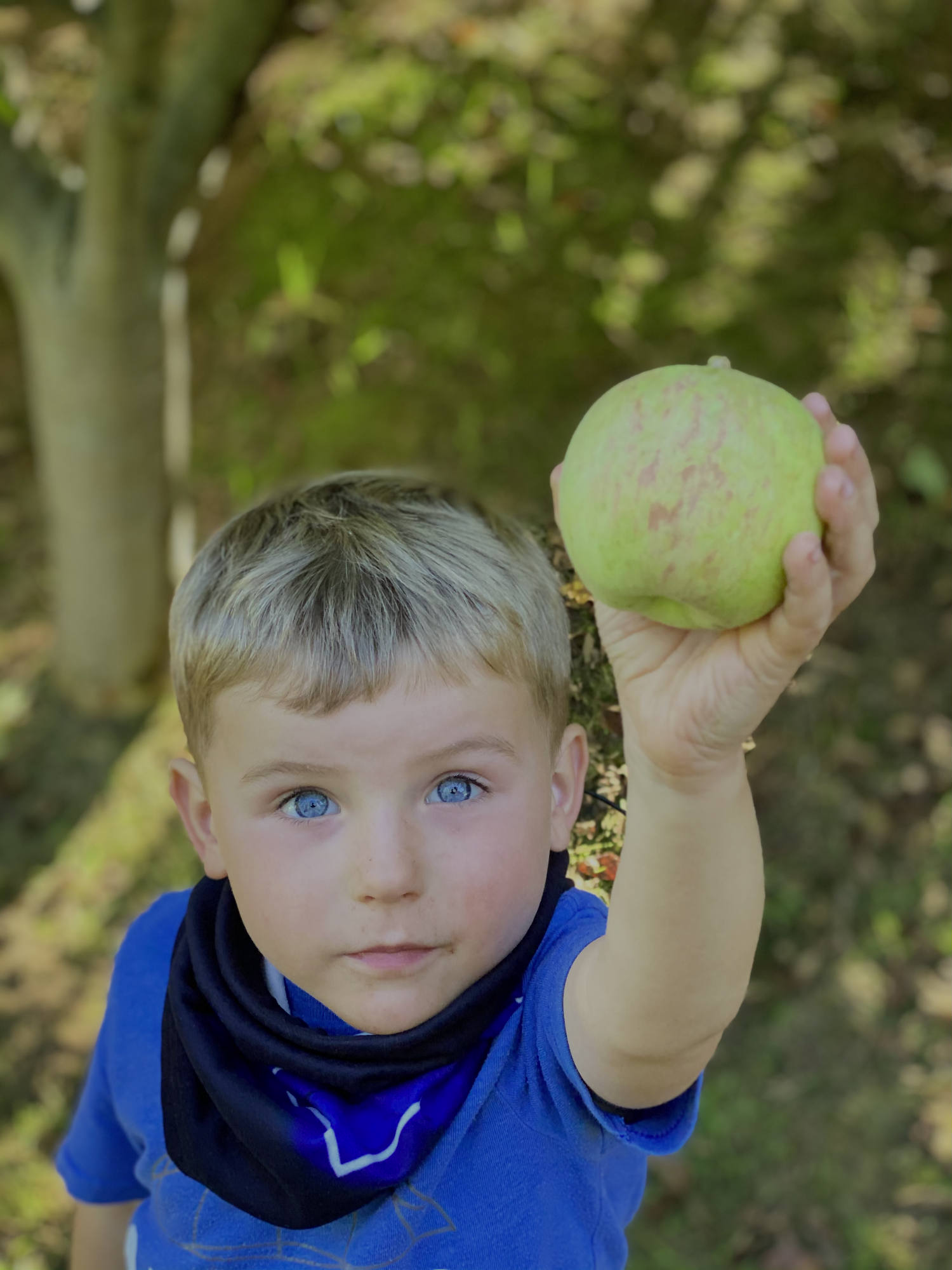 A young boy with blue eyes holds up a green apple toward the camera in an outdoor, wooded setting.