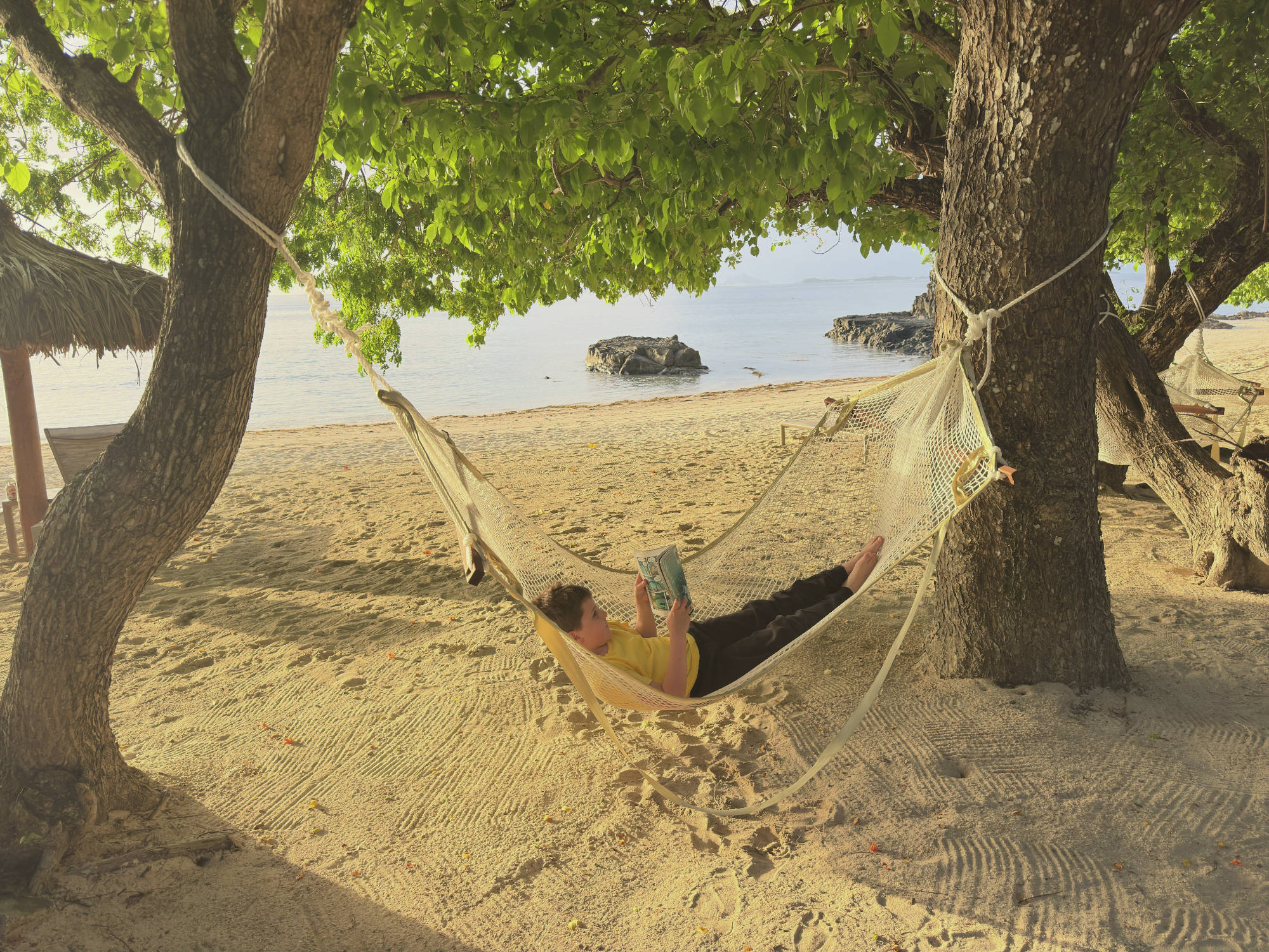 A child in a yellow shirt lies in a rope hammock strung between two trees, reading a book. The scene is set on a sandy beach under the shade of leafy trees, with the ocean and a rocky shoreline visible in the background.