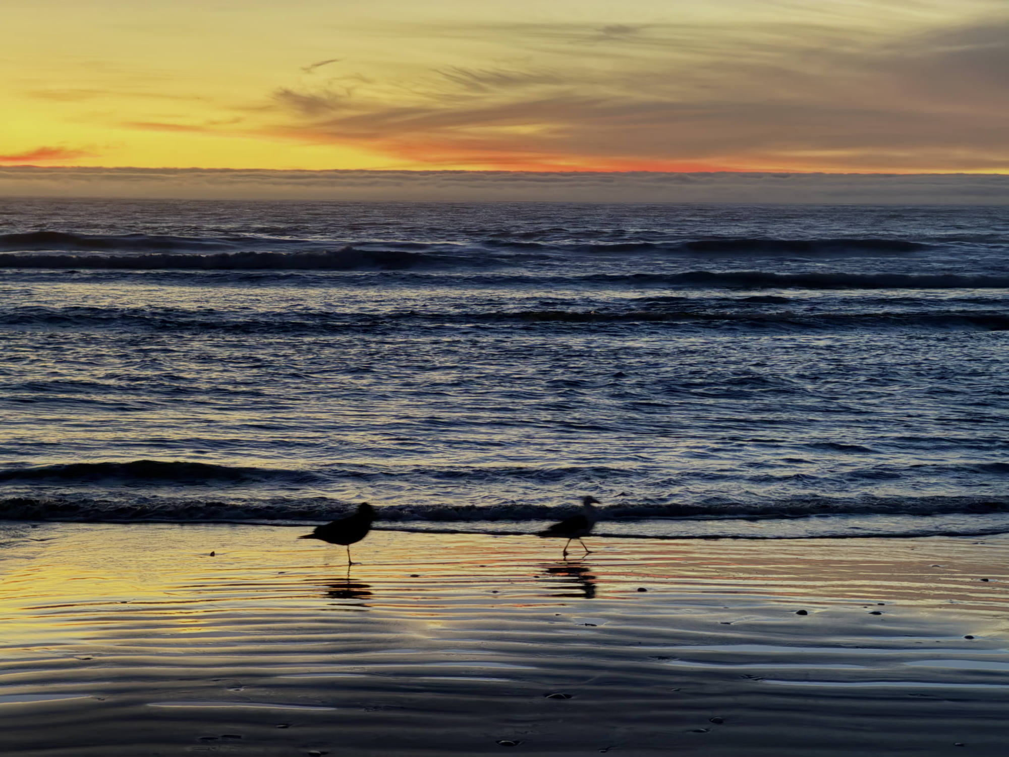 Two seagulls are silhouetted on a wet sandy beach as small waves roll in under a vibrant yellow and orange sunset sky.