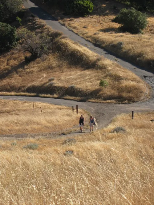 Photo 49 from Mount Baldy, 2003