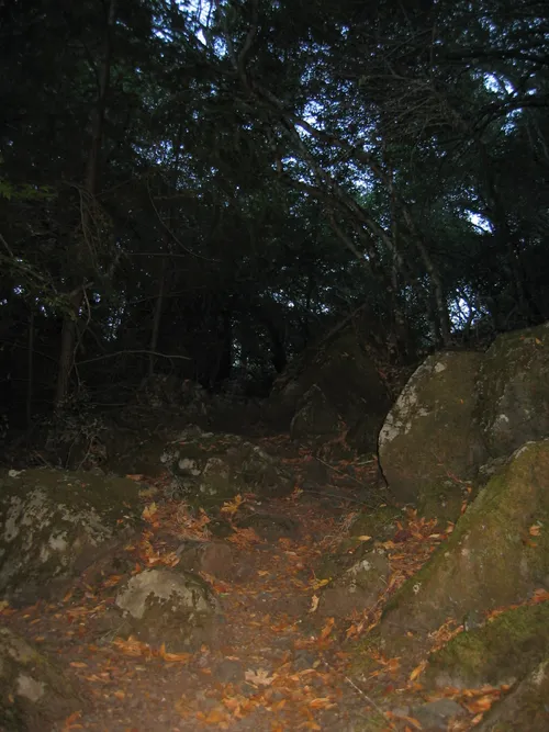Photo 62 from Mount Baldy, 2003