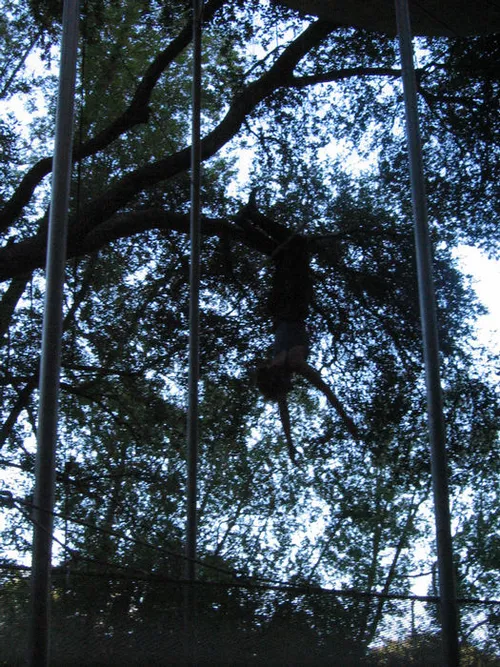 Photo 71 from Mount Baldy, 2003