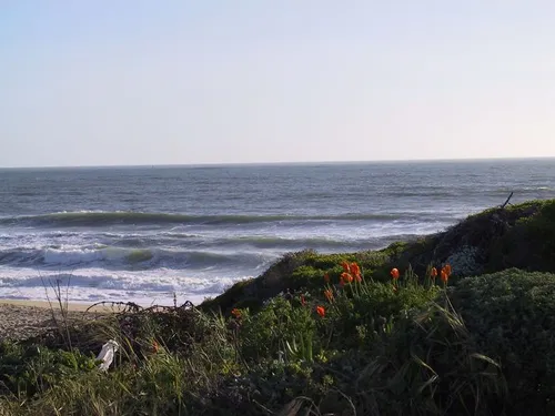 Photo 5 from Beach, 2001
