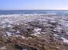 Archival fragment 2 from Beach2, 2001