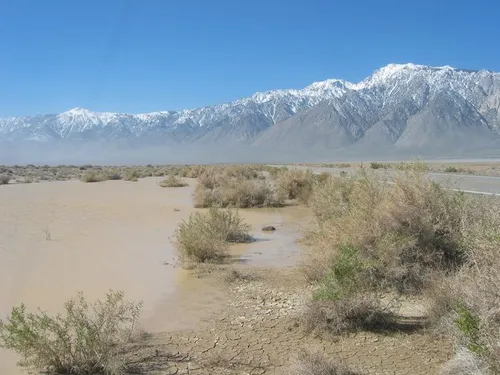 Cover photo from Death Valley, 2005