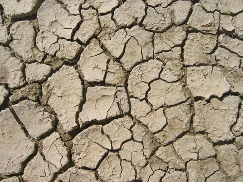 Photo 2 from Death Valley, 2005