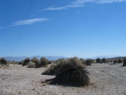 Photo 9 from Death Valley, 2005