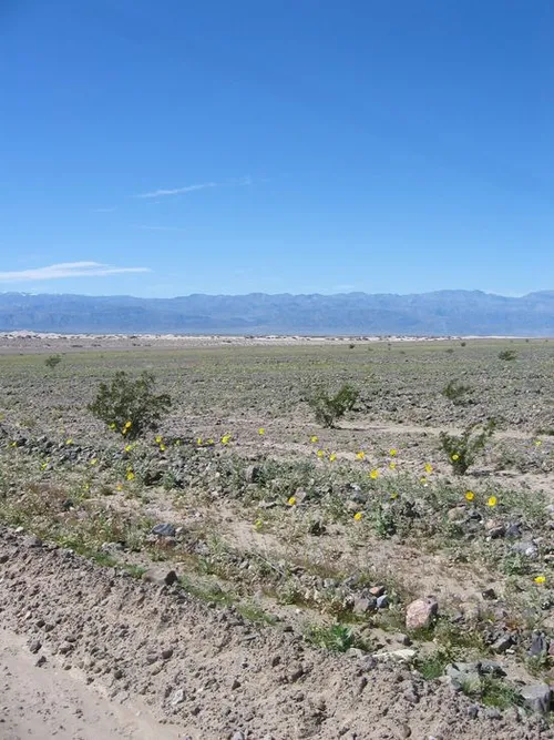 Photo 27 from Death Valley, 2005