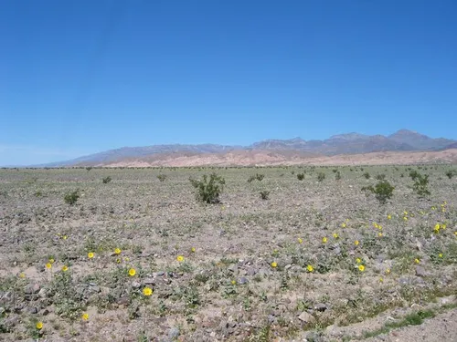 Photo 10 from Death Valley, 2005